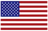 UAE Flag