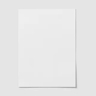 White Paper